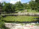 [Cenote (water hole), Dzibilchaltún (Sandra 15 July)]