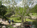 [Cenote (water hole), Dzibilchaltún (Sandra 15 July)]